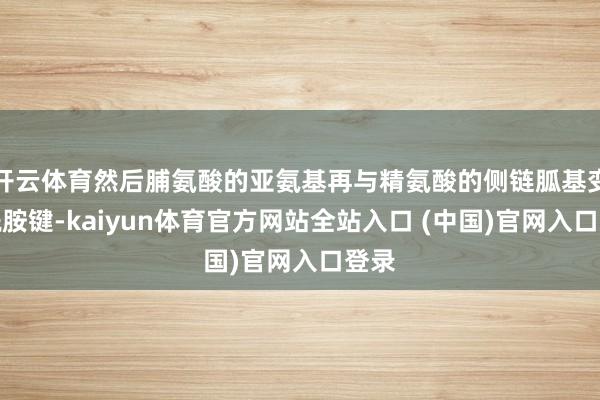 开云体育然后脯氨酸的亚氨基再与精氨酸的侧链胍基变成酰胺键-kaiyun体育官方网站全站入口 (中国)官网入口登录