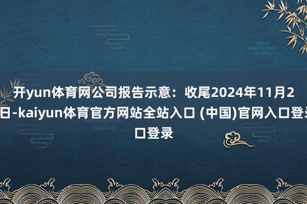开yun体育网　　公司报告示意：收尾2024年11月20日-kaiyun体育官方网站全站入口 (中国)官网入口登录
