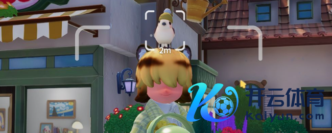 《心动小镇》不雅鸟发现鸟类步调先容