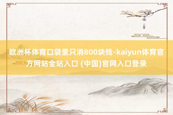 欧洲杯体育口袋里只消800块钱-kaiyun体育官方网站全站入口 (中国)官网入口登录